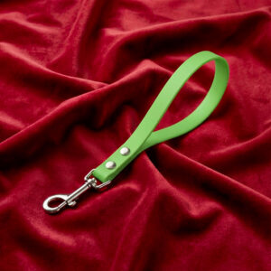 Laisse courte Supplie-moi